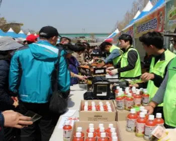 대저토마토축제_23
