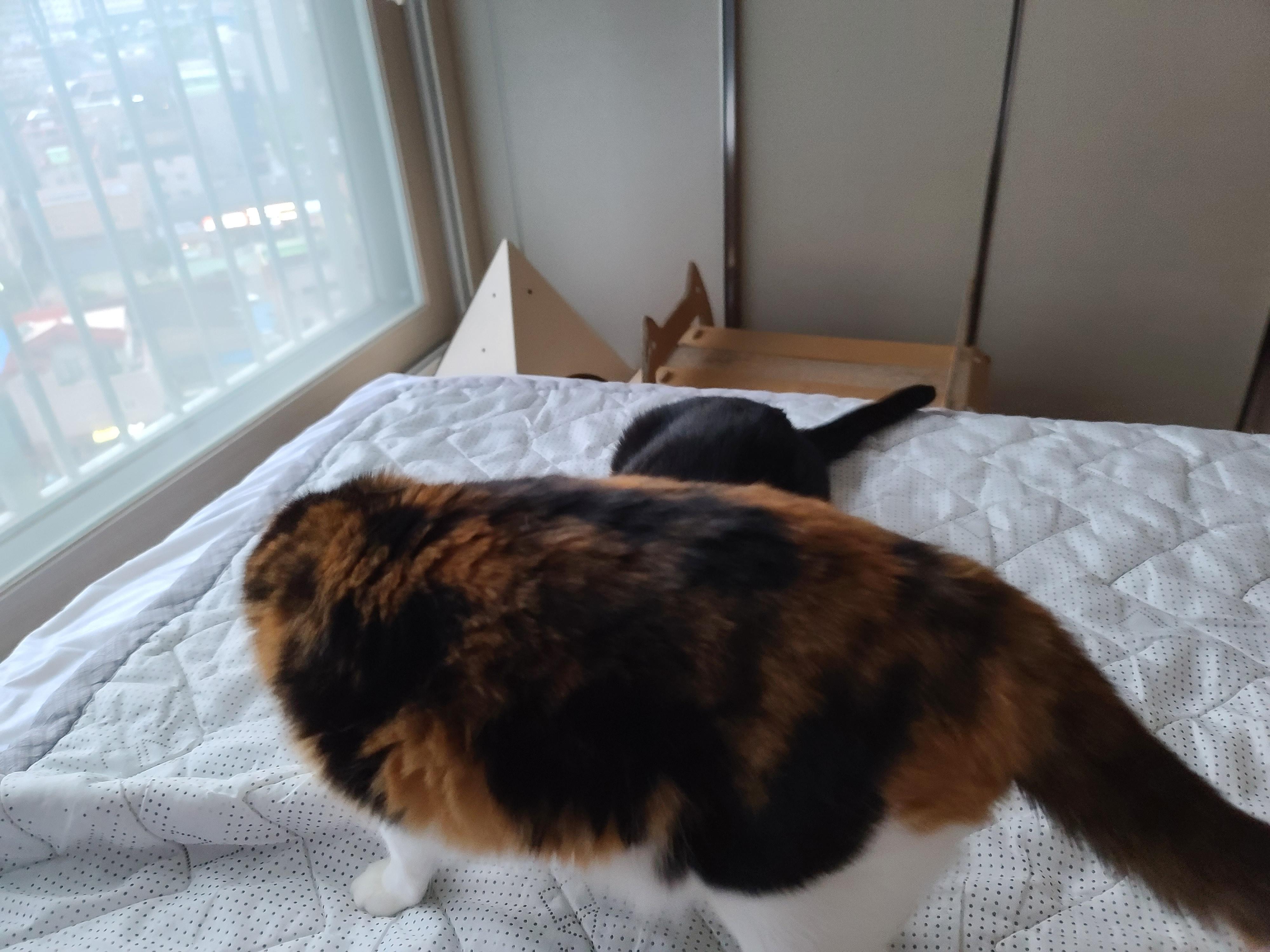 기쎈 누나들 사이에서 건이의 흔들리는 눈동자 ㅋㅋㅋ