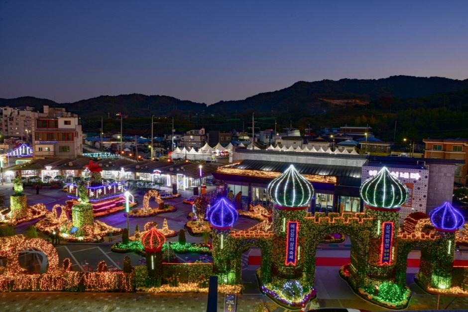 10월 지역 축제 충남 충북 가을 축제 정보