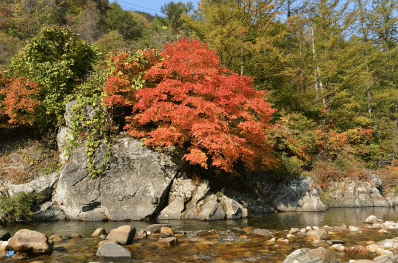 영월 김삿갓계곡