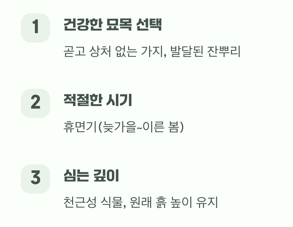 튼튼한 시작, 묘목 심기