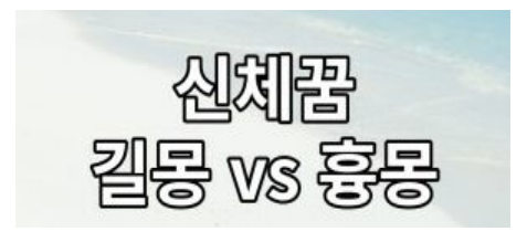 신체 꿈해몽 정리