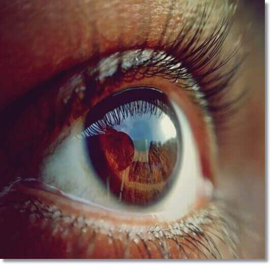 고구마 잎 효능 눈 건강