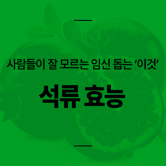 석류 효능