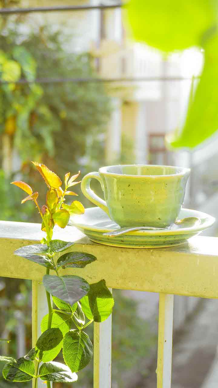 옥수수수염차 효능과 마시는 법