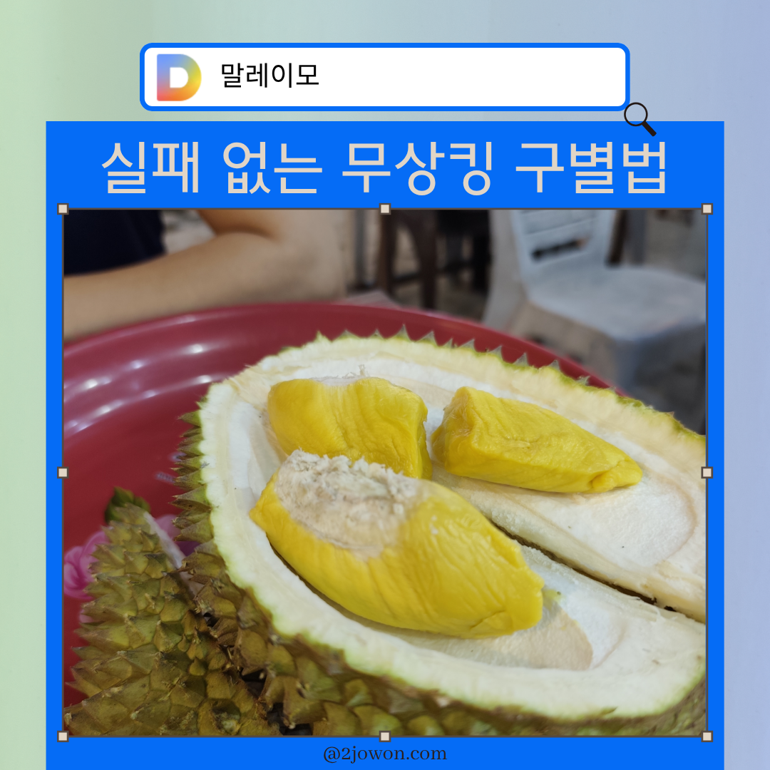 무상킹 두리안 구별법