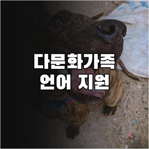 2025 다문화가족 언어 지원: 나이..