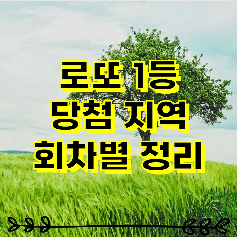 로또 1등 당첨 지역 회차별 정리