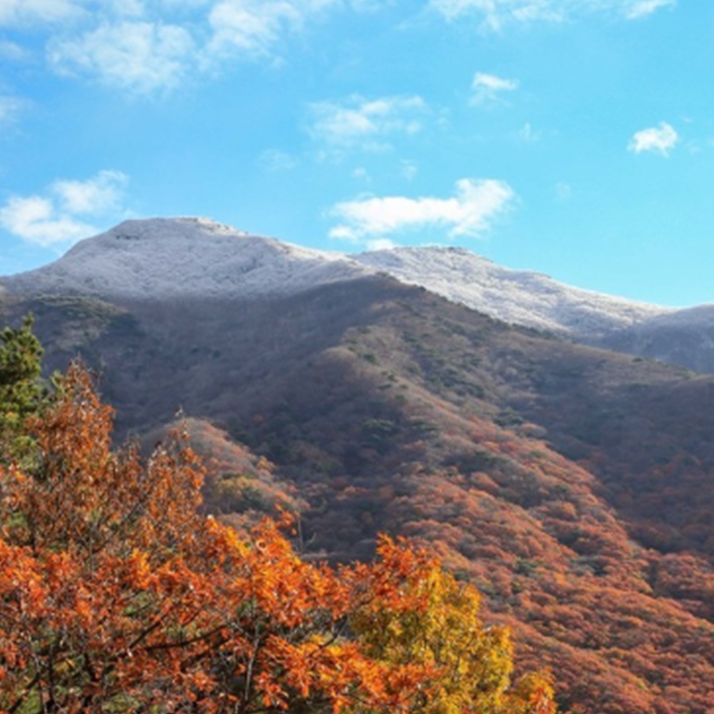 지리산 단풍 절정시기
