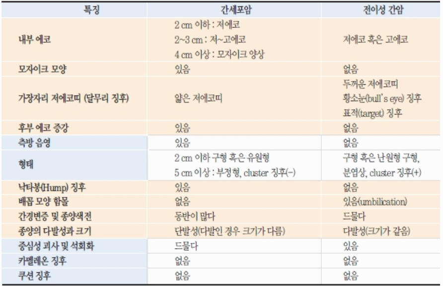 간세포암과 전이성 간암의 감별진단