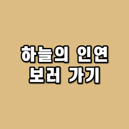 대표사진