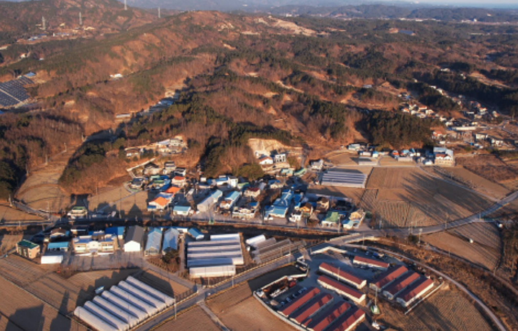 사노라면 강릉 4남매 전통 한과 공장 주문 방법