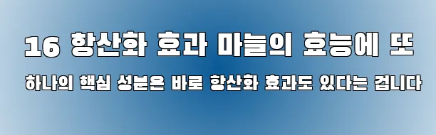  16 항산화 효과 마늘의 효능에 또 하나의 핵심 성분은 바로 항산화 효과도 있다는 겁니다