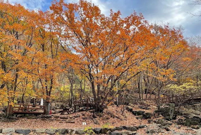 대운산자연휴양림