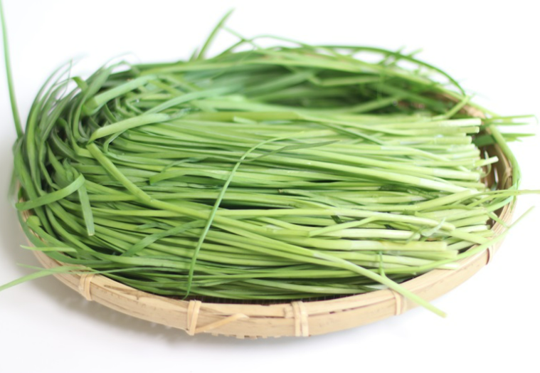 3월에 먹으면 좋은 제철 음식(봄철 음식) - 부추편 (효능&amp;#44; 부추가 들어가는 음식)