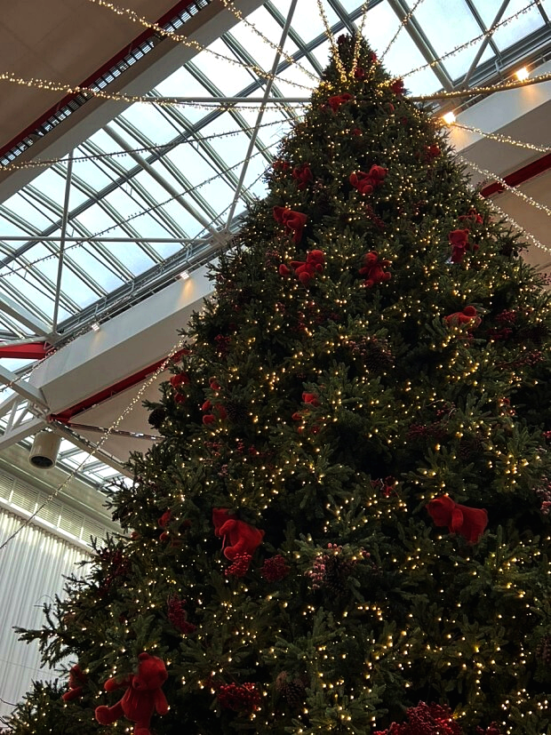 서울 크리스마스 장소2 