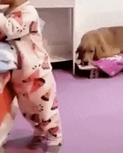 침대가_높아서_못_올라가는_아기를_본_댕댕이