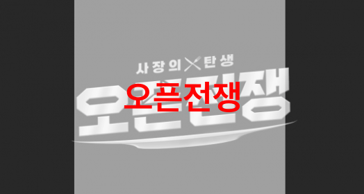오픈전쟁