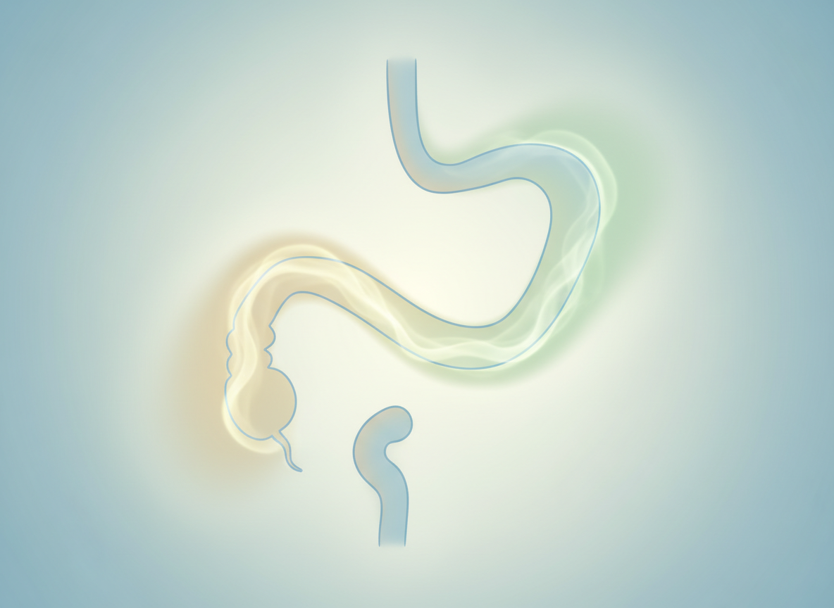 장염 환자에게 &amp;#39;이 과일&amp;#39; 독 알고 먹으면 약 되는 5가지