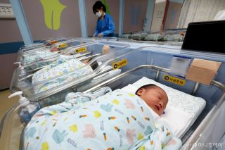 2026년 2월 출생아 증가 13..6% &amp;#124; 30대 출산율 &amp;#124; 20개월째 증가