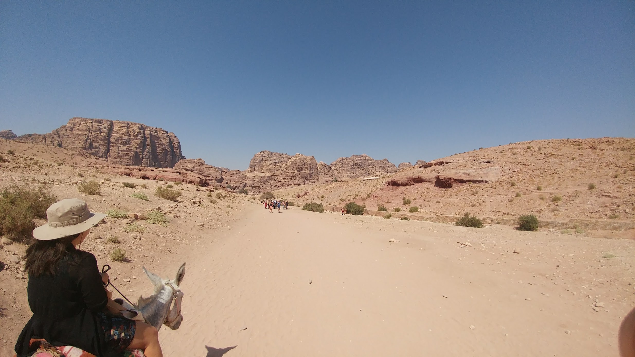 요르단 페트라 여행