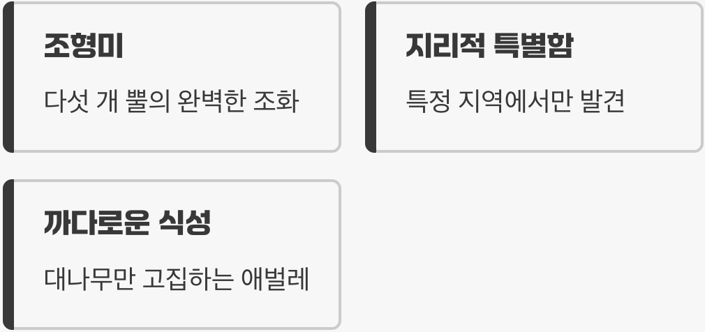 수집가들이 주목하는 진짜 가치