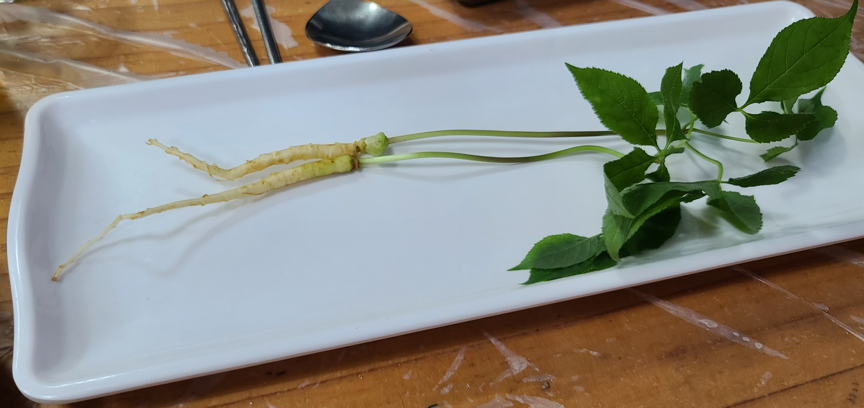 황금어장 활어회 도다리세꼬시 도다리회 다양한 밑반찬 달걀찜 날치알밥 고구마튀김 채소무침 새싹삼