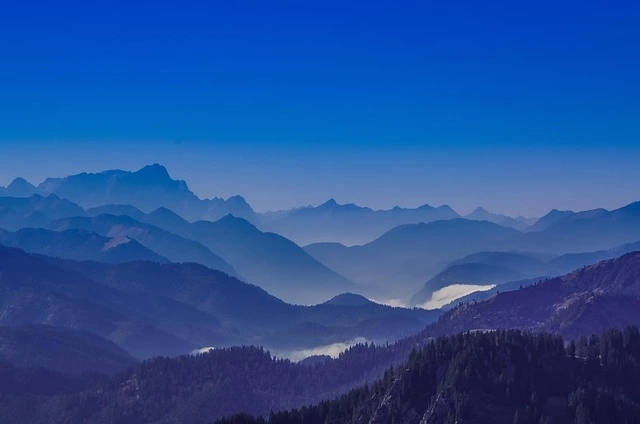 50대 자격증 추천 조경기능사 취득방법