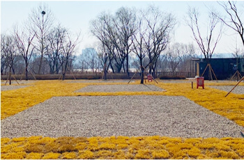 일반캠핑존D존