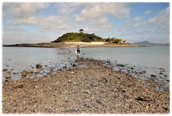 외달도 갯벌체험