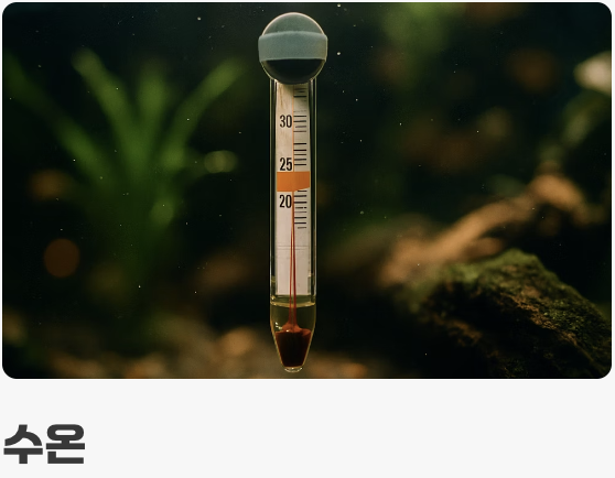 수질&amp;#44; 건강을 좌우하는 생명수