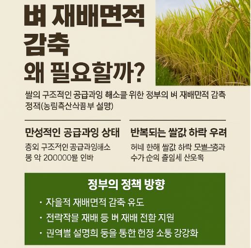 벼 재배면적 감축 관련사진