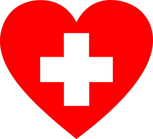 건강보험료 조정신청 자격 되나요 3분 완벽 체크