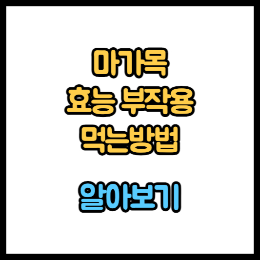 마가목 효능 부작용 마가목 열매 먹는방법