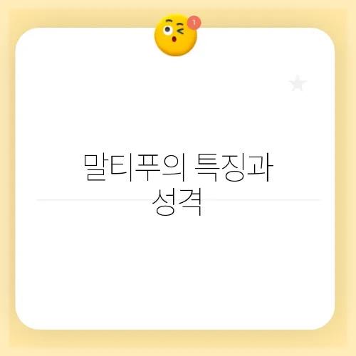 말티푸의 특징과 성격, 체중, 분양가를 알아보세요