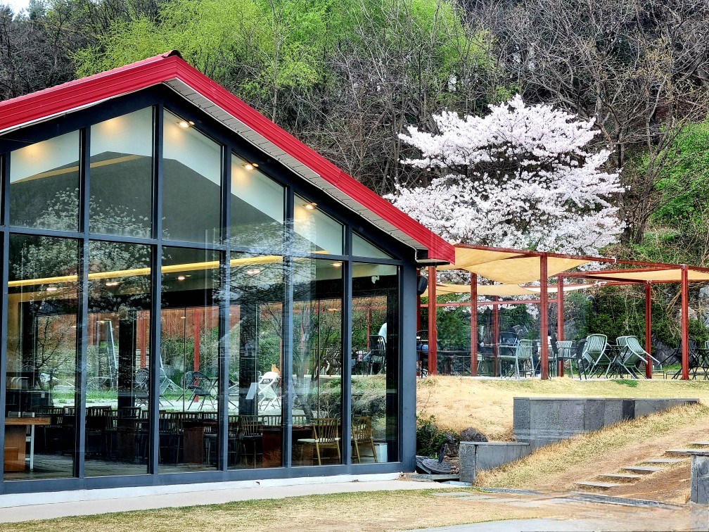 파주가볼만한 곳: 마롱리면사무소 카페, 율곡수목원 근처 정원 카페