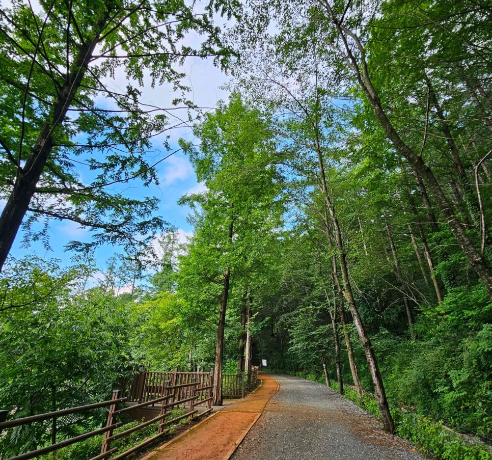 옥화자연휴양림