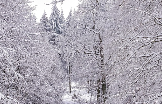 겨울 인사말 모음
