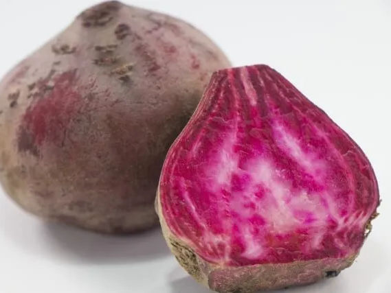 발린비트차와 비트