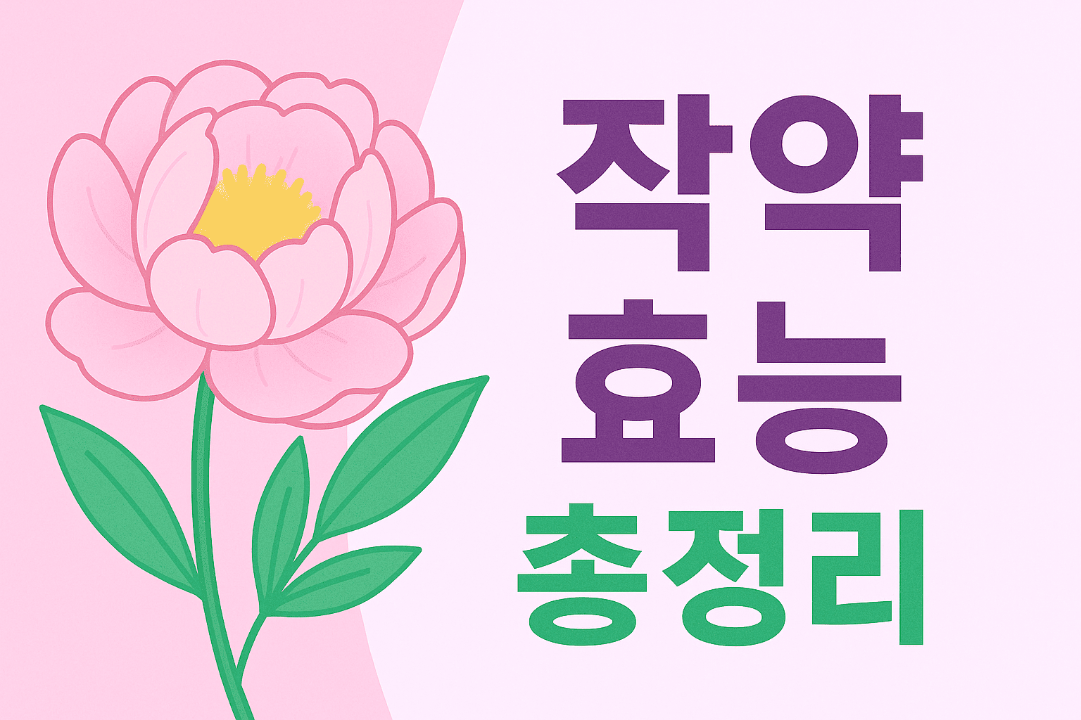 작약 효능 총정리｜진통&middot;항염부터 혈액순환까지!