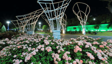 곡성 장미축제 기간, 입장료, 초대가수