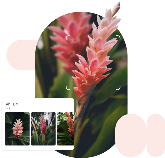 단 한 번의 촬영으로 식물 박사 되기! 🌱 쉽고 빠른 식물 이름 찾기 앱 총정리 (2025최신 & 꿀팁 가득)