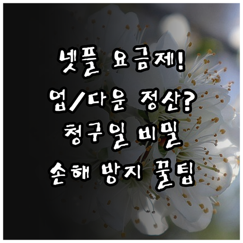 넷플릭스 요금제 업그레이드 다운그레이..