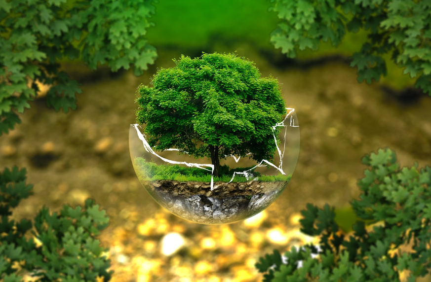 한국의 재생 에너지와 환경 영향