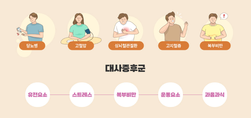대사증후군 완벽 가이드: 원인부터 치료까지 한눈에