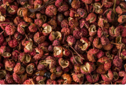 산수유 먹는 법&amp;#44; 산수유 씨 빼는 방법