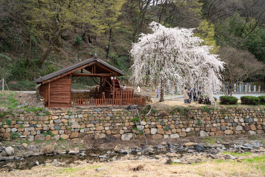 영산 만년교 호국공원