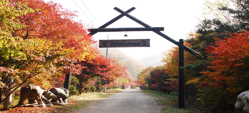 강원도 횡성 자연휴양림 지도 예약 숙소 주변 단풍 명소 계곡 트레킹 여행 할인 날씨 정보