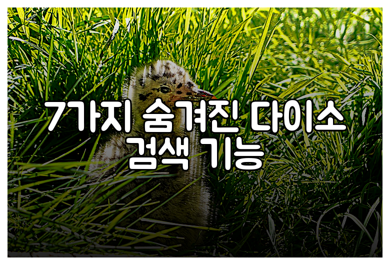 7가지 숨겨진 다이소 검색 기능