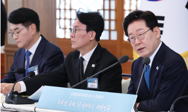 대통령 대규모 규제 특구 제안